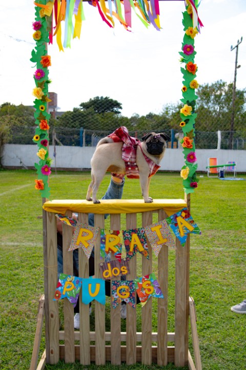 Foto do Pugnic 2026